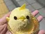 ひとみのプロフィール画像