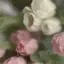 chiakiのプロフィール画像