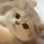 みのプロフィール画像