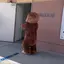 かなのプロフィール画像