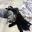 ゆづきのプロフィール画像