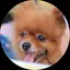 ぽこのプロフィール画像