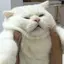 sのプロフィール画像