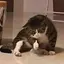 土のプロフィール画像
