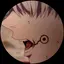 大晟のプロフィール画像