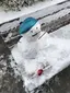 さけのプロフィール画像