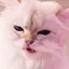 このプロフィール画像