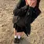 ぴ助のプロフィール画像