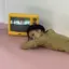 ruのプロフィール画像
