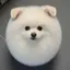 吾輩のプロフィール画像