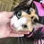 りなのプロフィール画像
