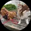 えいこのプロフィール画像