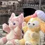 みーのプロフィール画像