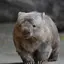 オオニシのプロフィール画像