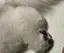 わさびのプロフィール画像