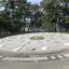 みぽのプロフィール画像