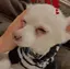 KOKOROのプロフィール画像