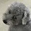 田中のプロフィール画像