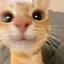 wwwのプロフィール画像