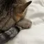 ひかるのプロフィール画像