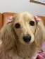 なるのプロフィール画像
