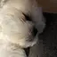 葉月のプロフィール画像