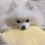りさぽんのプロフィール画像