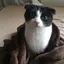 かおるのプロフィール画像