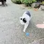 ライライラのプロフィール画像