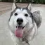 くーたんのプロフィール画像
