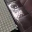 4のプロフィール画像