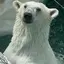 saoのプロフィール画像