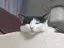 ﾕｽﾞのプロフィール画像