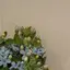 ntsnのプロフィール画像