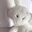 RIHOのプロフィール画像