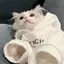 すあま🐰🤍のプロフィール画像