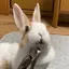 Rのプロフィール画像