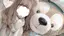 ゆうのプロフィール画像