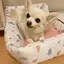 るぴのプロフィール画像
