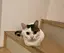 脩斗のプロフィール画像