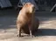めぐみのプロフィール画像