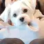 なつのプロフィール画像