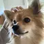 ちひろのプロフィール画像