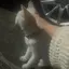 hiのプロフィール画像