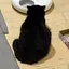 あのプロフィール画像