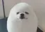Mのプロフィール画像