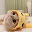 Mのプロフィール画像