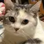 さくちぃ🍓のプロフィール画像