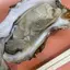 となのプロフィール画像