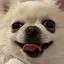 arnのプロフィール画像